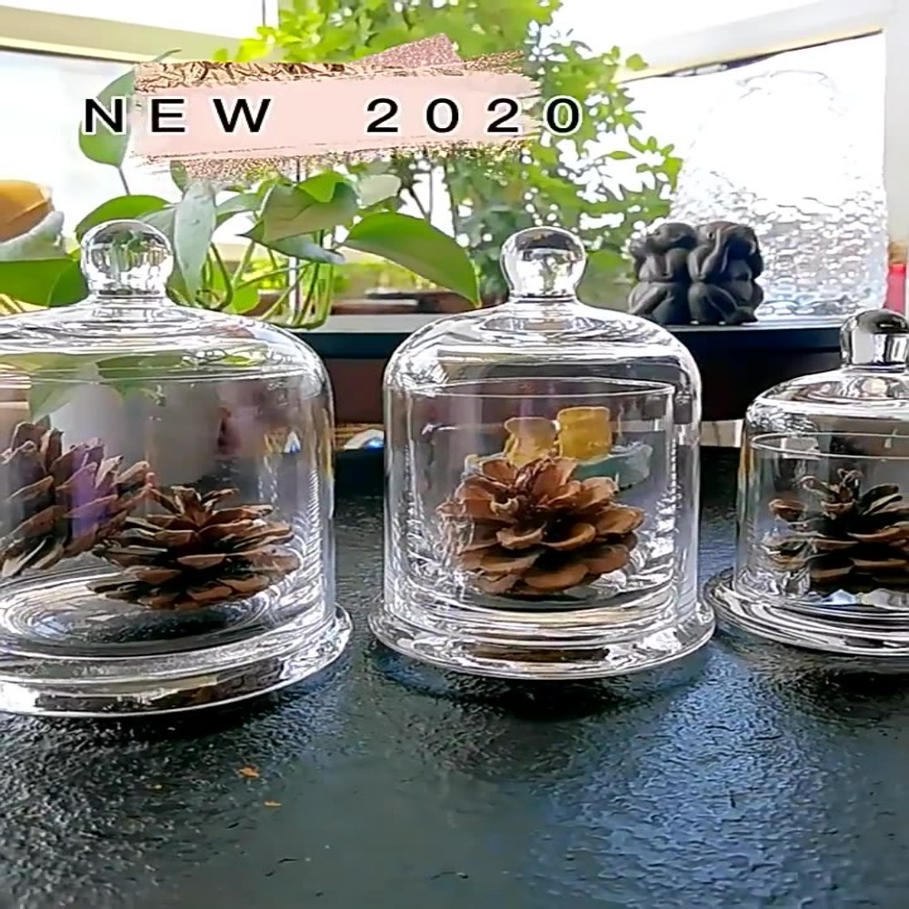 ガラス製保存瓶 エターナルライフフラワー 8色 アロマセラピ - Food Storage In Plants のレビューと価格